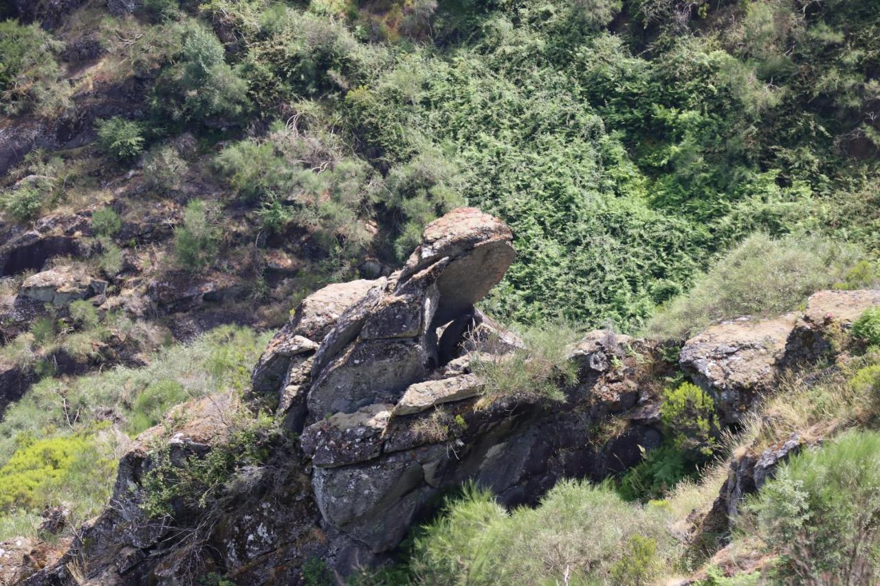 Quinta Da Riba Ma ξενώνας Santa Leocadia Εξωτερικό φωτογραφία