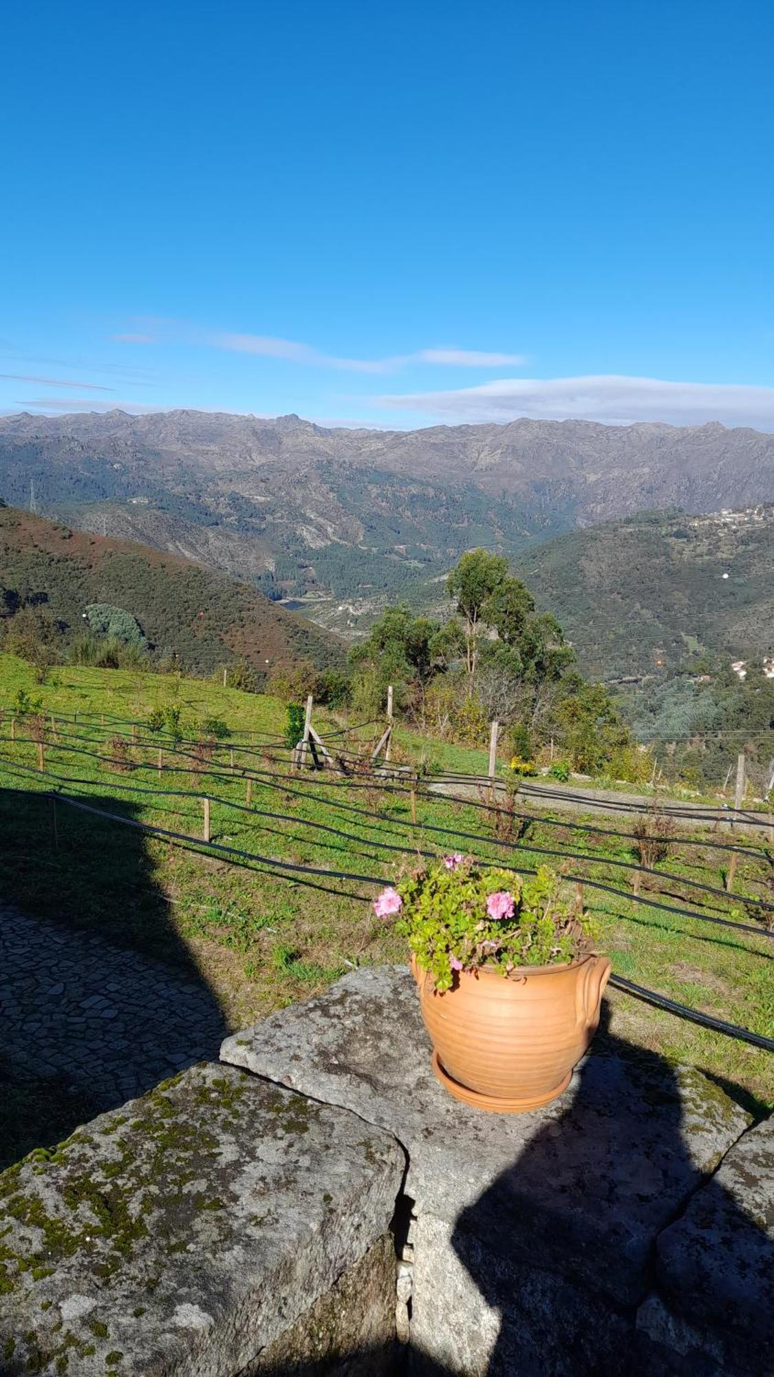 Quinta Da Riba Ma ξενώνας Santa Leocadia Εξωτερικό φωτογραφία